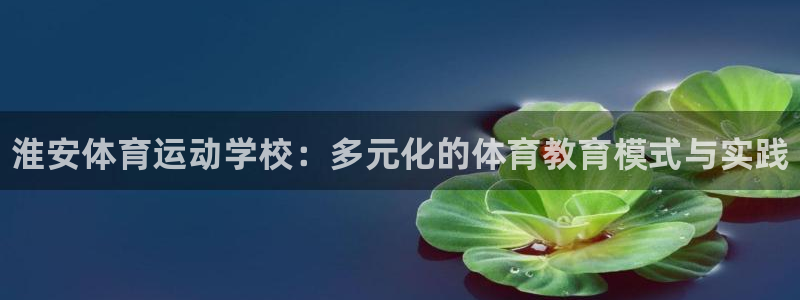 凯发官方正版app科技：淮安体育运动学校：多元化的体