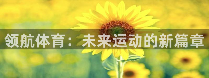 凯发官方集团官网：领航体育：未来运动的新篇章