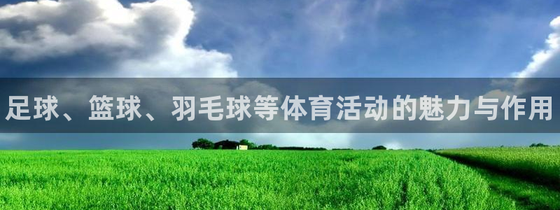 凯发官方正版app新能源：足球、篮球、羽毛球等体育活
