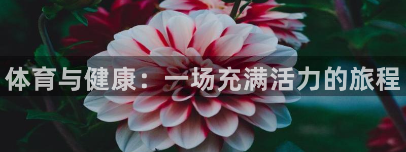凯发官网下载官方客服电话：体育与健康：一场充满活力的