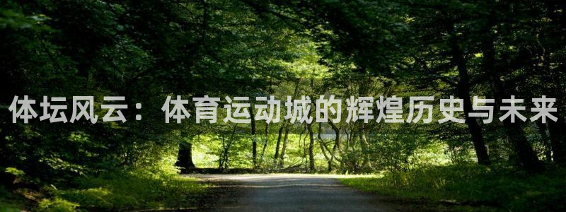 凯发官网下载平台注册要钱吗：体坛风云：体育运动城的辉