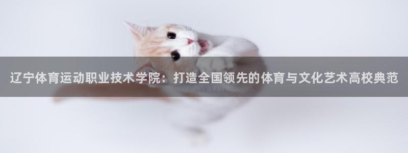 凯发官方正版app娱乐下载：辽宁体育运动职业技术学院