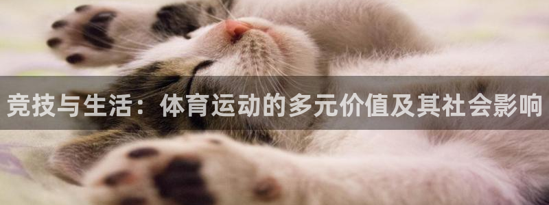 凯发官网下载平台注册：竞技与生活：体育运动的多元价值