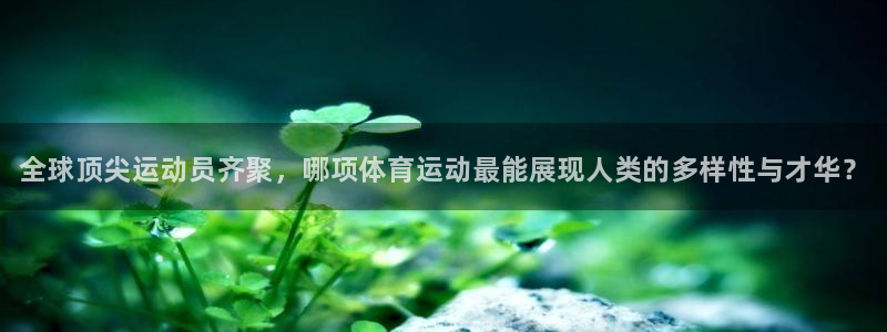 凯发官方正版app代理：全球顶尖运动员齐聚，哪项体育