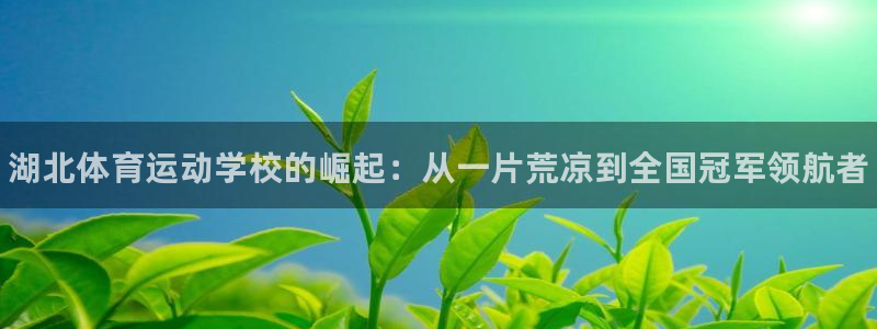 凯发官网下载招商电话地址：湖北体育运动学校的崛起：从