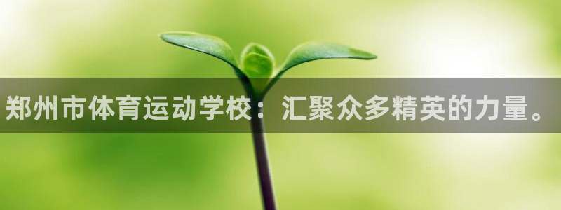 凯发官网下载招商电话地址