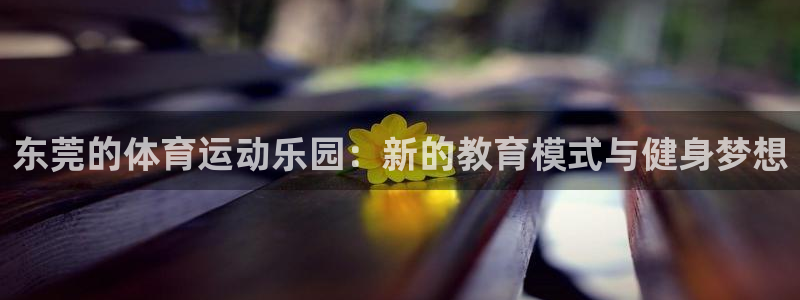 凯发官方正版app五金厂：东莞的体育运动乐园：新的教育模式与