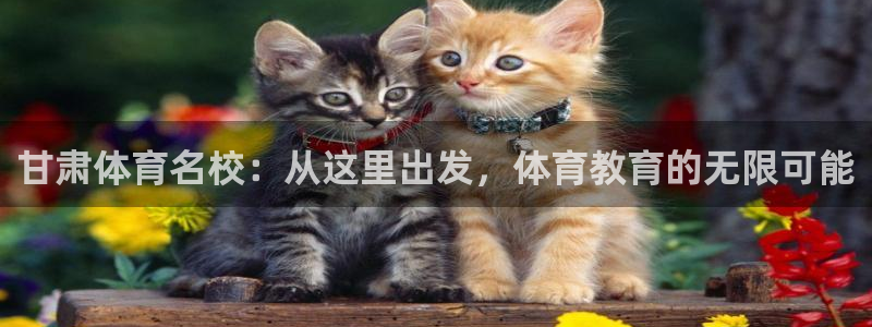 凯发官网下载招商电话号码是多少号：甘肃体育名校：从这里出发，
