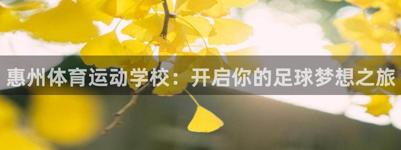凯发官方正版app集团简介：惠州体育运动学校：开启你的足球梦