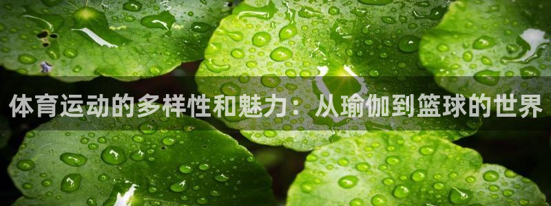 凯发官方正版app集团官网首页网址：体育运动的多样性