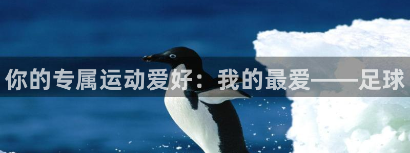 凯发官方正版app娱乐是那个系列的台子：你的专属运动