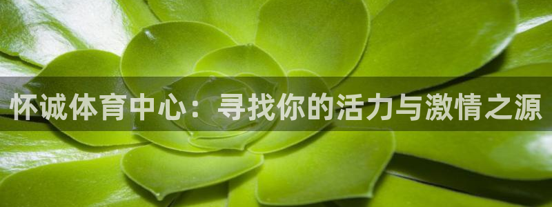 凯发官网下载招商电话是多少：怀诚体育中心：寻找你的活
