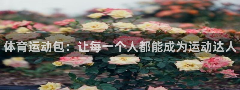 凯发官方正版app开户：体育运动包：让每一个人都能成