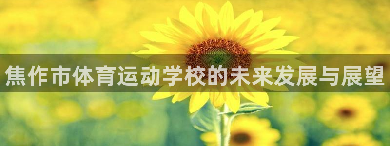 凯发官网下载招商：焦作市体育运动学校的未来发展与展望