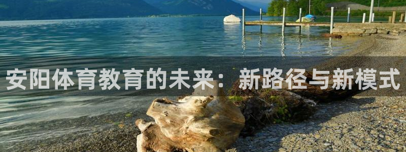 凯发官方正版app娱乐是那个系列的台子：安阳体育教育的未来：
