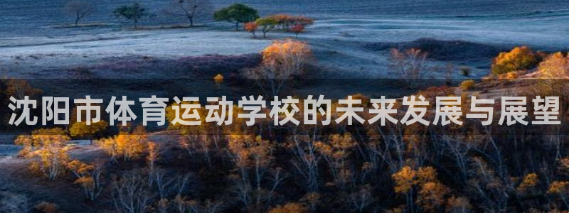凯发官网下载招商电话号码是多少：沈阳市体育运动学校的未来发展