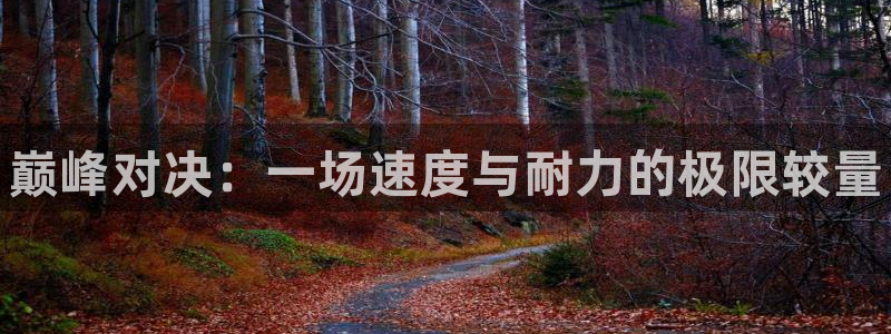 凯发官网下载平台注册要钱吗：巅峰对决：一场速度与耐力