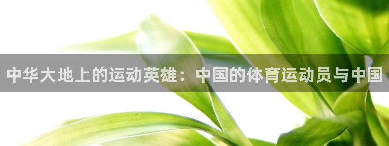 凯发官方正版app娱乐网站