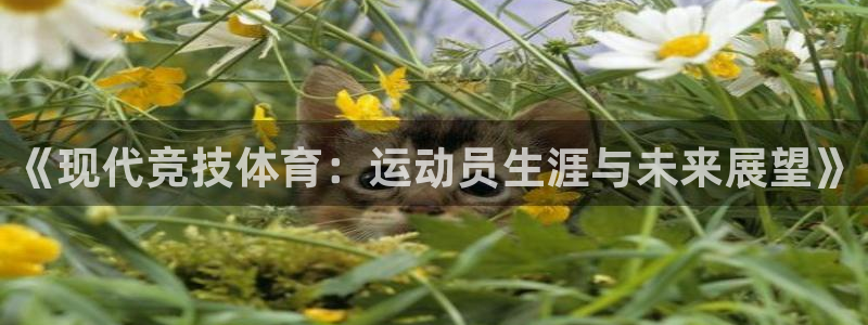 凯发官网下载招商电话地址：《现代竞技体育：运动员生涯与未来展