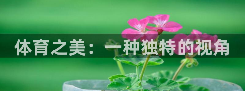 海南凯发官网下载发展怎么样：体育之美：一种独特的视角