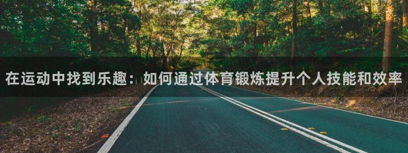 凯发官方正版app集团简介