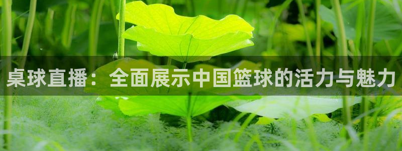 88看球直播官网nba：桌球直播：全面展示中国篮球的活力与魅力