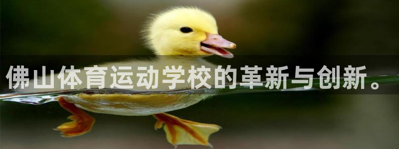凯发在线平台