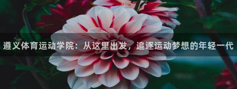 k8凯发官方app下载