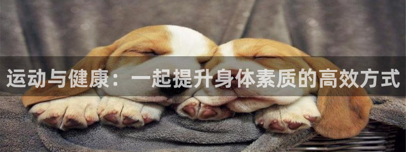 ks8凯发注册平台免费下载