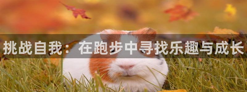 凯发电子游戏娱乐官网