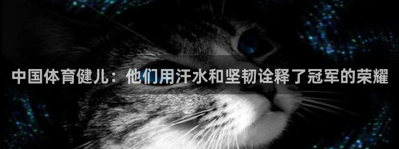 K8凯发旗舰厅