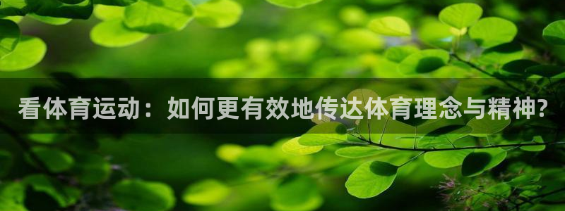 凯发app手机版下载