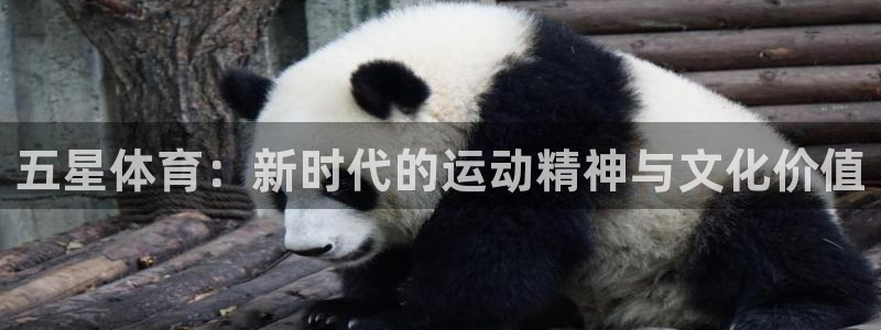 k8凯发马竞唯一赞助商