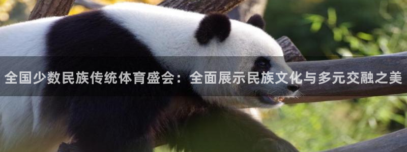 凯发平台k8