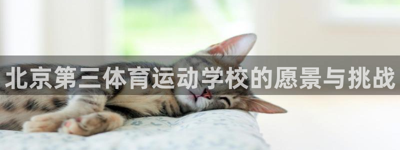 k8凯发入口官网