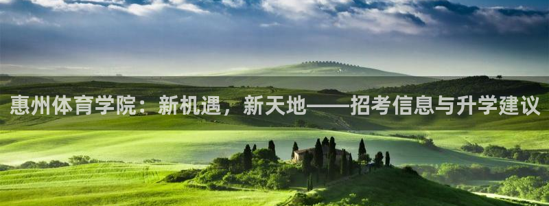 凯发k8ag旗舰厅