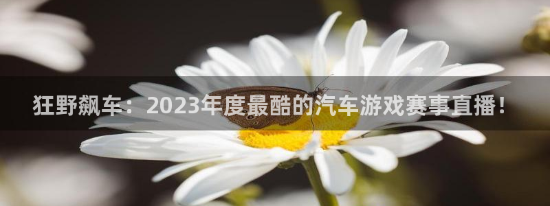 88看球nba免费直播：狂野飙车：2023年度最酷的汽车游戏赛事直播！