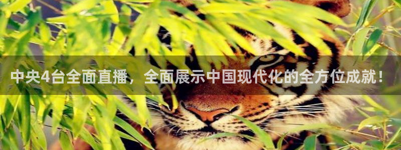 足球直播_篮球直播_免费在线看 | 88看球：中央4台全面直播，全面展示中国现代化的全方位成就！