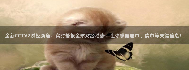 88看球nba直播在线观看：全新CCTV2财经频道：实时播报全球财经动态，让你掌握股市、债市等关键信息！