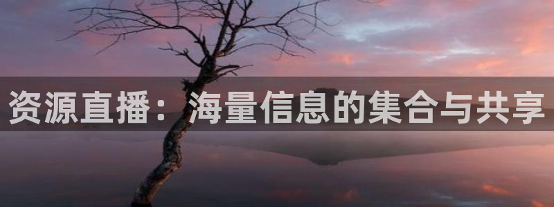 88看球在线看nba：资源直播：海量信息的集合与共享