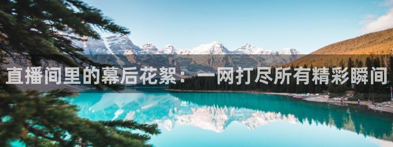 nba88看球直播免费直播：直播间里的幕后花絮：一网打尽所有精彩瞬间