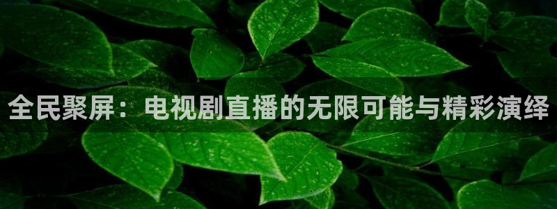 88看球nba在线直播：全民聚屏：电视剧直播的无限可能与精彩演绎